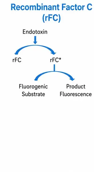 rFC Cascade